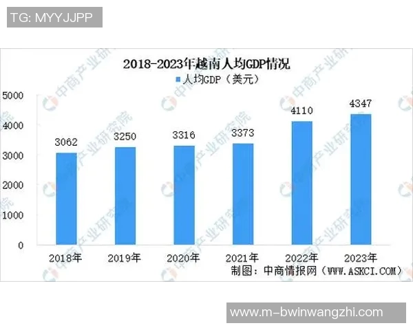 2026年3月份新闻成都网球队的管理策略与发展潜力深度分析